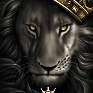 Meet your Posher, Elliott